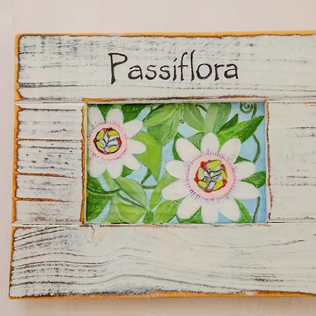 Casa Giada 4* 加利波利