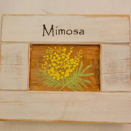 Casa Giada فندق مبيت وإفطار غالّيبولي